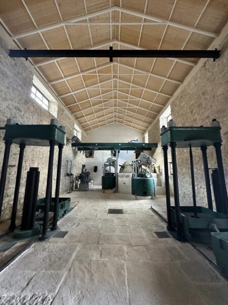 interior molino