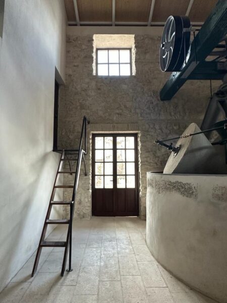interior molino