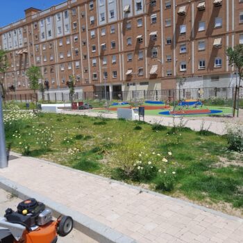 Diseño y ejecución de jardines en urbanizaciones