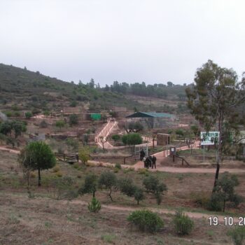 Mejora de hábitats y fauna silvestre