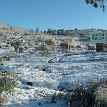 Mejora de hábitats y fauna silvestre