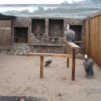 Mejora de hábitats y fauna silvestre