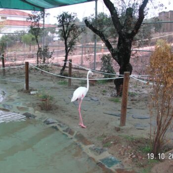 Mejora de hábitats y fauna silvestre