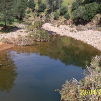 Restauración de riberas y corrección hidrológica