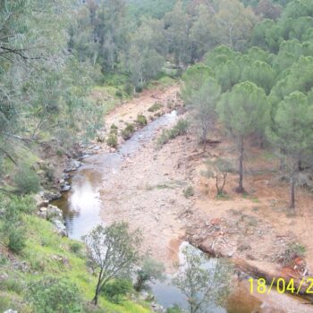 Restauración de riberas y corrección hidrológica