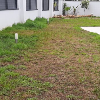 Diseño y ejecución de jardines en urbanizaciones