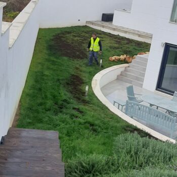 Diseño y ejecución de jardines en urbanizaciones