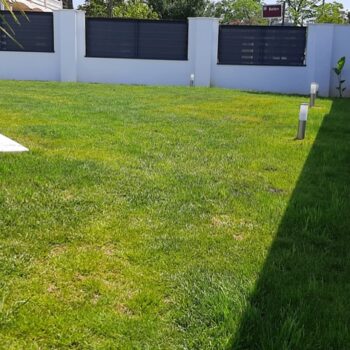 Diseño y ejecución de jardines en urbanizaciones