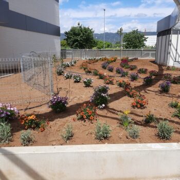 Diseño y ejecución de jardines en urbanizaciones