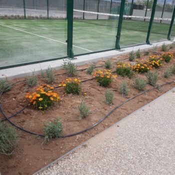 Diseño y ejecución de jardines en urbanizaciones
