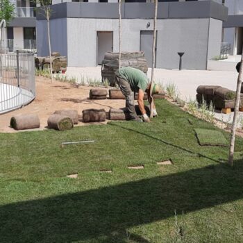Diseño y ejecución de jardines en urbanizaciones