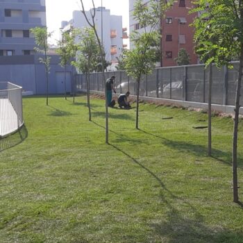 Diseño y ejecución de jardines en urbanizaciones