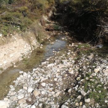 Mantenimiento de cauces del río Guadalquivir