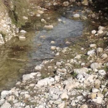 Desbroce, retirada de residuos y restauración de entornos fluviales