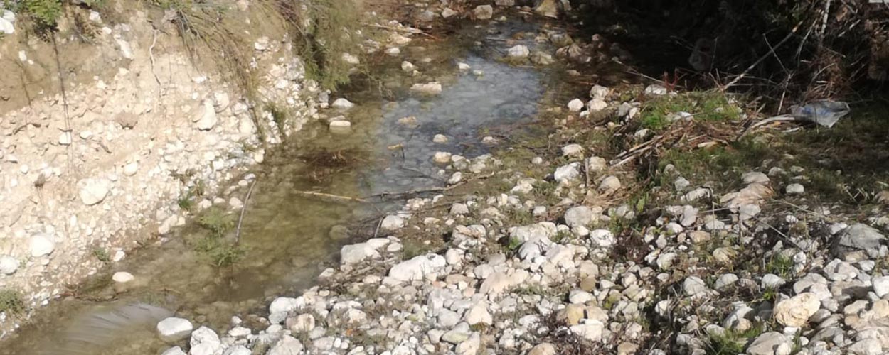 Desbroce, retirada de residuos y restauración de entornos fluviales