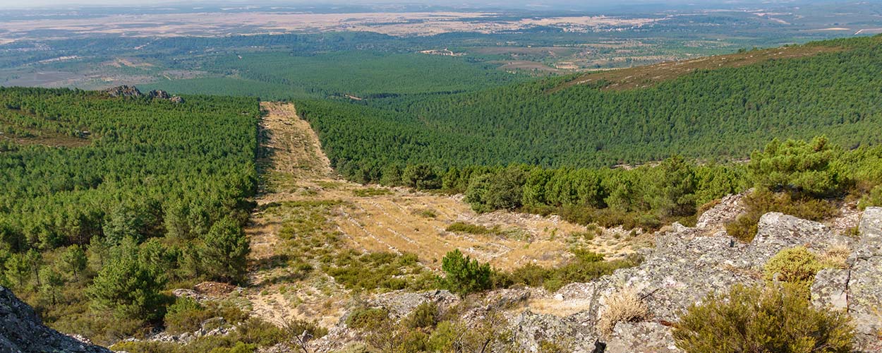 Planes técnicos de ordenación y gestión del territorio