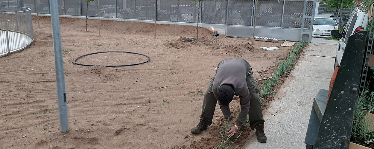 Diseño y ejecución de jardines en obra nueva